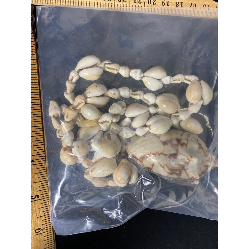 Vintage Cowrie Sea Shell Necklace Beach Coastal Hawaiian Jewelry